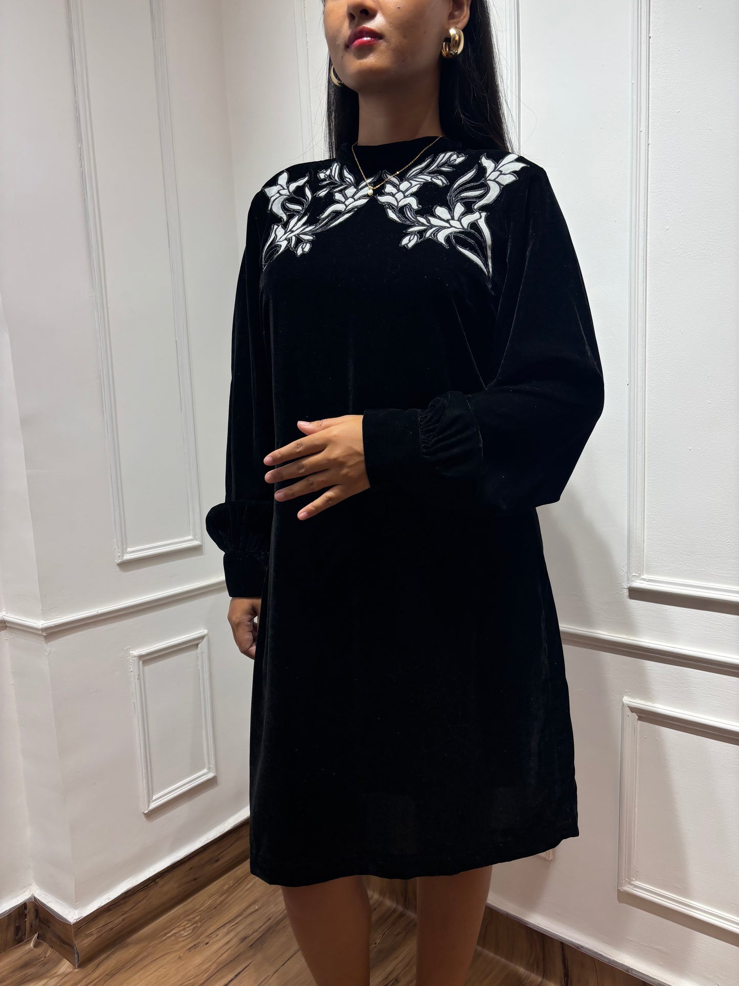 Velvet embroidery dress