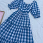 Blue Gingham Dress