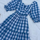 Blue Gingham Dress