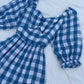 Blue Gingham Dress